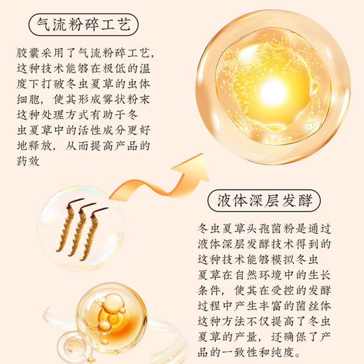 藏方圣元冬虫夏草(菌丝体)胶囊免疫调节提高免疫正品 5盒装【买3赠2/半月量】