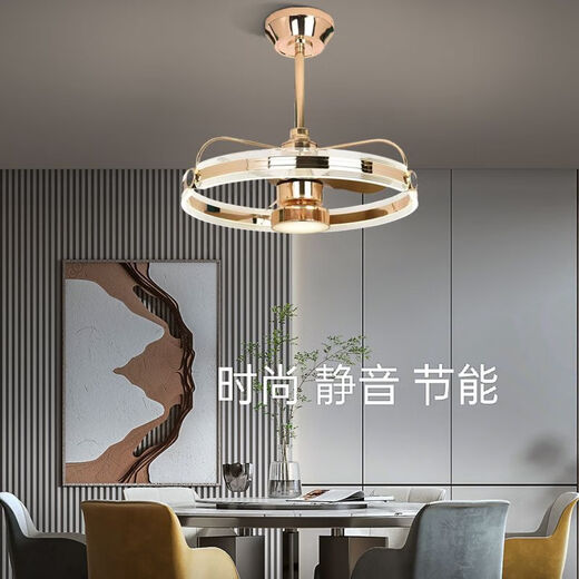 三雄极光2024年新款高端简约轻奢风扇吊灯客厅灯餐厅卧室带电风扇一体灯具 9277灰+三色变光+离线语音