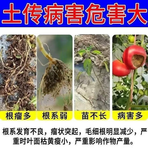Soil bacteria clear agricultural genuine soil-borne diseases special rapid disinfection, sterilization and resistance to repeated cropping microbial fertilizer 5 bags, sterilization and disease resistance, soaring production