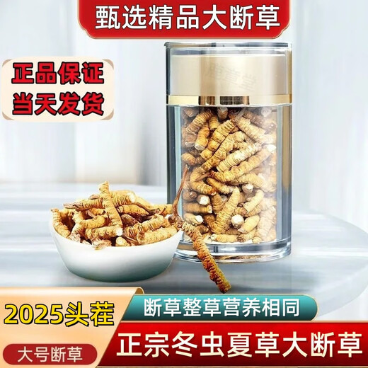 Véritable cordyceps cordyceps sinensis grande herbe brisée haute altitude brisée cordyceps 2025 Premier chaume nouveau auto-usure grande cordyceps cassé naqu high altitude cassée cordyceps 10g pack