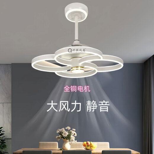 华艺照明年新款隐形吊扇灯大风力家用餐厅饭厅卧室电风扇一体吊灯静音 隐形款9227/黑60CM变频遥控+直接