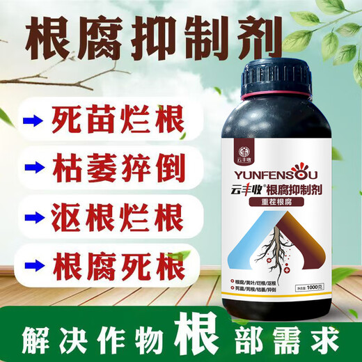 Yunfeng Harvest Genuine Root Rot Inhibitor, Root Rot Nemesis, Damping Down Dead Trees, Rotten Roots, Root Rot, Strong Roots, Purification of Soil, Popular 12 Bottles*1000g+1 Measuring Cup