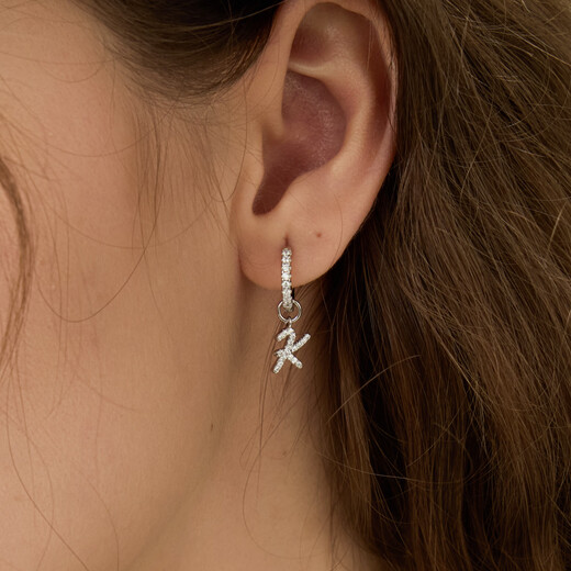 Arsis silver stamped artistic letter earrings for women AB style S925 silver earrings, fashionable and simple, a birthday gift for your girlfriend, artistic letter earrings (Z)