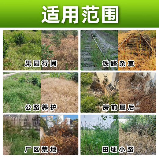 Barometer 21.9% pure glufosinate ammonium salt herbicide genuine pure glufosinate ammonium salt orchard tea garden wasteland herbicide 1kg*1 bottle free 10 bags of synergist