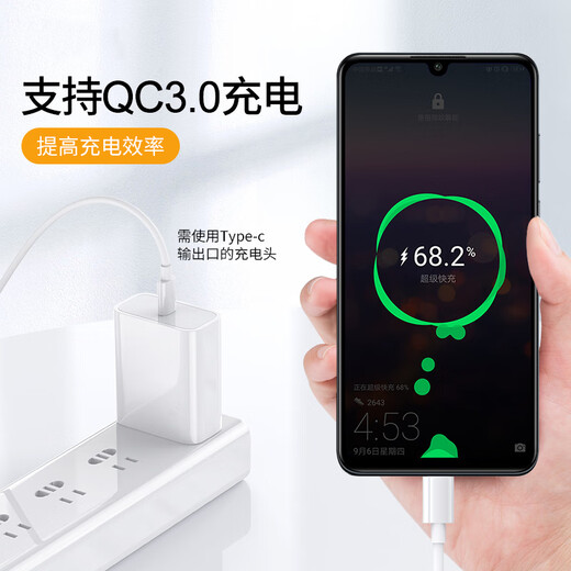 L'industrie légère convient au câble de données Nubia Red Magic 7s NX679S Câble de charge Flash Cable de charge Flash Dual Type-C câble USB-C Câble de téléphone mobile USB-C Male Mâle à double type-C Câble de charge rapide [blanc] One-Piece 0,25 mètres