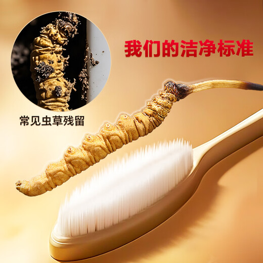 雷允上冬虫夏草20g约64-66根滋补品补品送领导客户冬虫草礼盒父亲节礼物