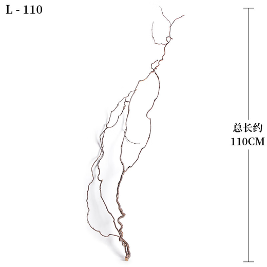 接运猫龙枣干枝树枝树干装饰弯曲插花干枝风干干花龙枣枝11011 天然龙枣枝15885cm一物一拍 干树枝