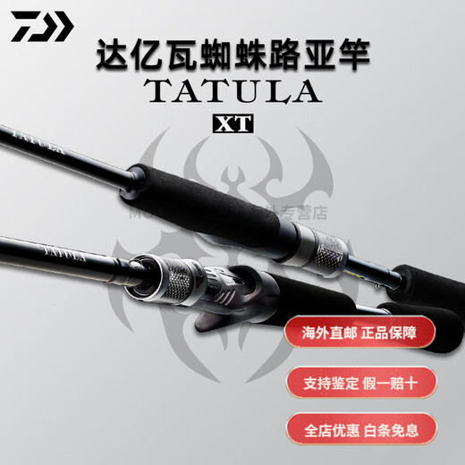 达亿瓦（DAIWA）25款大蜘蛛路亚竿鲈翘鳜鱼泛用路亚远投竿 682m 21款CS Q XB-ST2.03米