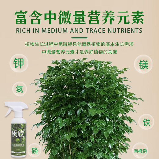 Zhixin plant nutrient solution, Zhixin official store, specializes in treating yellow leaves and rotten roots, promoting flowers, and promoting growth, lush branches and leaves 5. Zhixin nutrient solution in a bottle