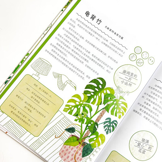 How to keep green plants alive