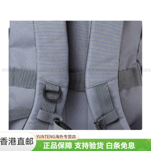 Samsonite Clynee 20L Briefschild Etikett Stoff Rucksack Großer Männerstil Dunkelgrau Fashion Pendler Basic -Paket (Tasche)