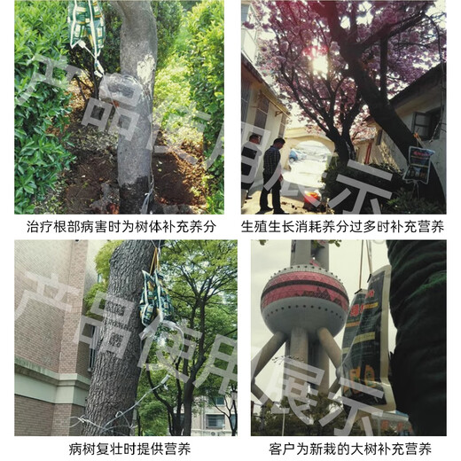 Live large tree nutrient solution, hanging needle solution, universal transplanted tree resurrection solution, fruit tree nutrient solution 1000ml/bag