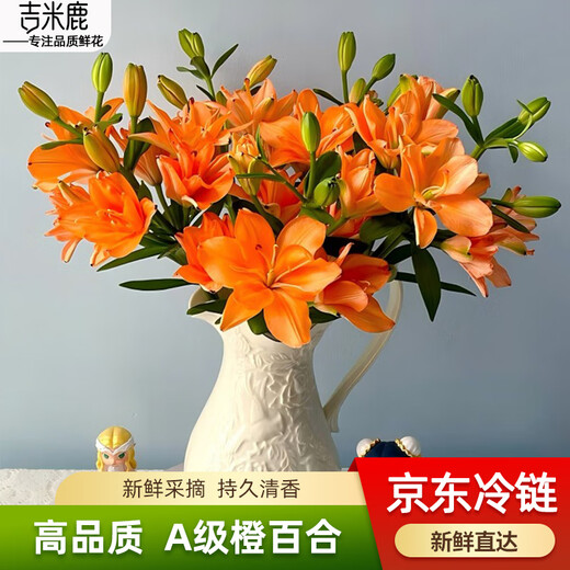 Jimmy Deer rare orange lily flowers, 10 orange lilies + get 2 free, fresh cut bouquets from Yunnan base sent directly from the source