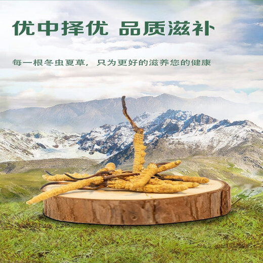 冬虫夏草冬虫夏草藏区雪域虫草2根一克干货冬虫草送礼佳品60根 60根礼盒装【规格2.5根1克】