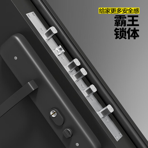 
Longhanger 2025 new security door, level 4 entry door, thickened zinc-combined entry safety door, smart door lock, fingerprint lock, household door, 2350*1050mm, fully automatic intelligent lock, outsourcing, outsourcing [installation and removal]