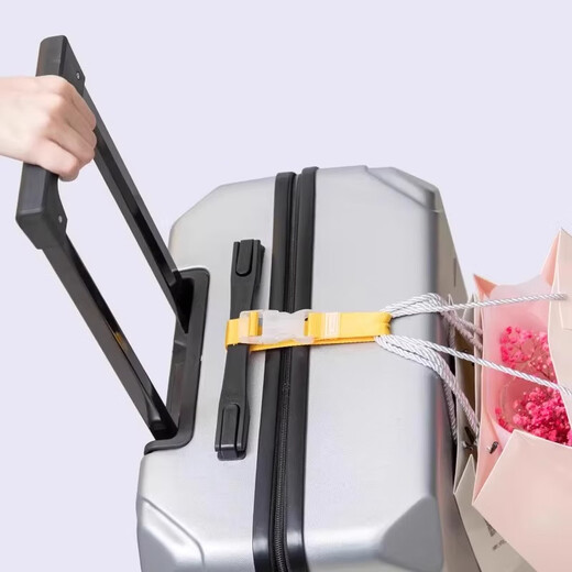 Suitcase buckle travel box buckle trolley box external hook travel business trip backpack bag portable bundle strap Random color [4 packs] length adjustable