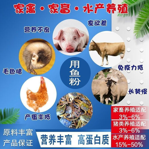 Imported fish meal, Peruvian steam fish meal, high protein fish meal feed for breeding, feeding chickens, ducks, geese, pigs, fish bone meal for dogs, bulk Peruvian fish meal 40 Jin Jin equal to 0.5 kg