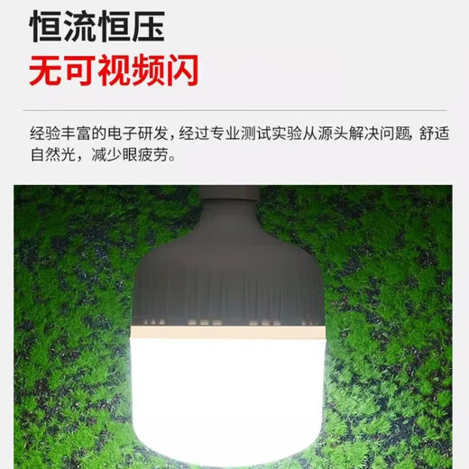 Whale and Light LED energy-saving light bulb with plug household plug-in e27 socket lamp with switch wire super bright hanging small wall lamp 2 meters wire