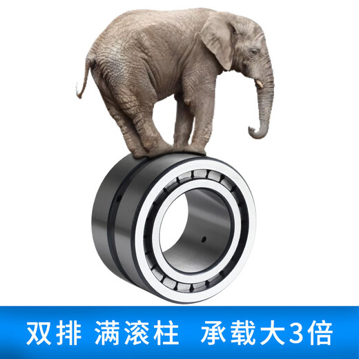 倪之尔定制重载满滚柱圆柱滚子轴承NNCF/SL185004 5005 5006 5007 5008 NNCF/SL5009内45外75高40