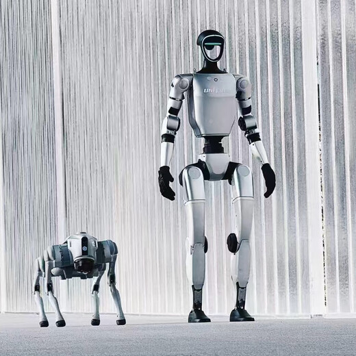 Yushu Intelligent Humanoid Double Foot G1 Roboter spielt Gehen und Tanzen Spring Festival Gala Gleicher Tanzroboter Hund Begrüßung Roboter Roboter Roboter für 1 Tag