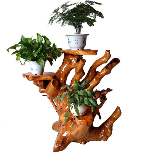 
Log root carved rack tree root natural ornament living room multi-layer bonsai rack fish tank solid wood base balcony bright yellow 16867