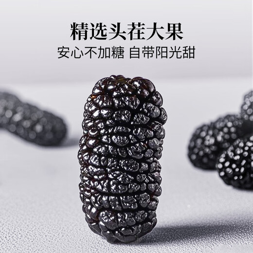 方家铺子桑葚干500g/瓶 六星桑椹干大果均≥2cm黑桑葚子泡水枸杞泡酒药材