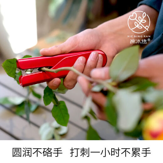 Diaohuang thorn pliers, rose flower thorn removal pliers, flower pruning pruners, thorn removal clips, thorn leaf artifact, floral tools, Chinese red