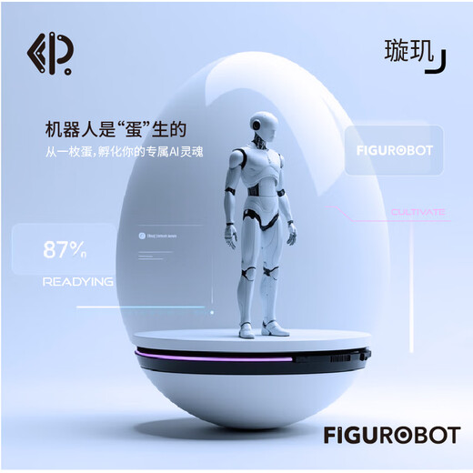 灵童机器人“璇玑”蛋形AI机器人 智能机器人 京东JoyInside