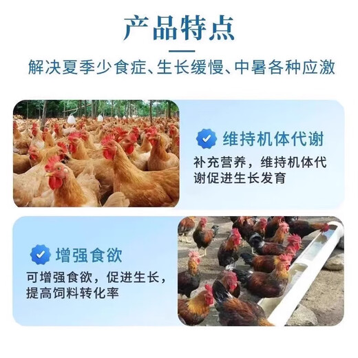 Chicken, Patchouli, Zhengqi, buffalo and sheep to prevent heatstroke, chicken, duck, goose, poultry and pig, anti-stress medicine, heat-clearing, heat-relieving and cooling oral liquid, three bottles for the price of two bottles