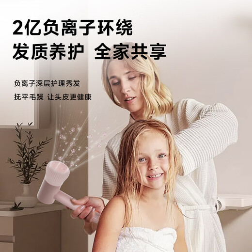 Pentium (povos) Sèche-cheveux à haute vitesse Ménage à ions négatifs de soins capillaires Strong Vents de séchage Mère et bébés enfants 9902 Boîte-cadeau [poudre de pêche tendre] Mère et bébé à choose incontournable