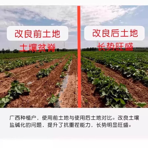 Loosening essence soil activator loosens and improves soil compaction, no deep plowing, black water fertilizer for vegetable fields, 5 packages, buy 3 and get 2 free