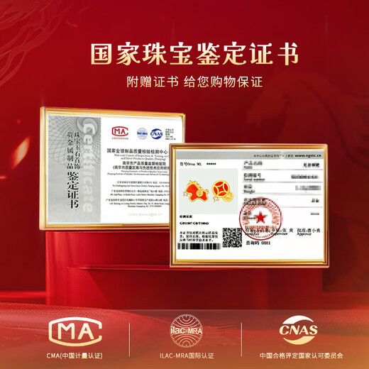 ALLOVE Year of the Horse, Zodiac Year, Silver Earrings, Women's Earrings Amulet, Girl Birthday Gift for Girlfriend and Wife