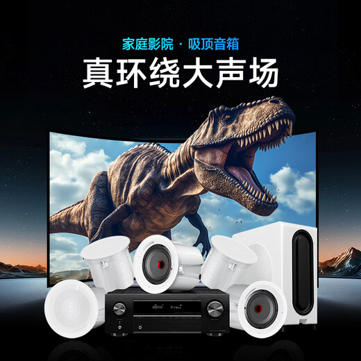 八雷（BALEY） 家庭影院音响天龙功放套装家用客厅电视投影环绕音重低音箱吸顶音响嵌入式蓝牙吸顶音箱 16【天龙5.2功放+J6×5+低音炮】全套