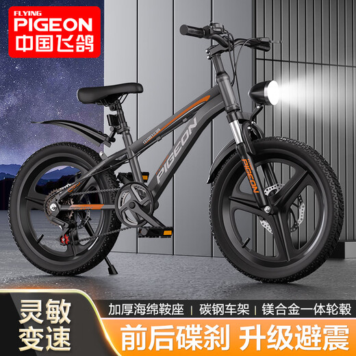 Flying Pigeon Youth Bicycle 6-12-18 Years Old Male and Female Student Competition Grade Mountain Bike Gray 24-inch Transmission Body