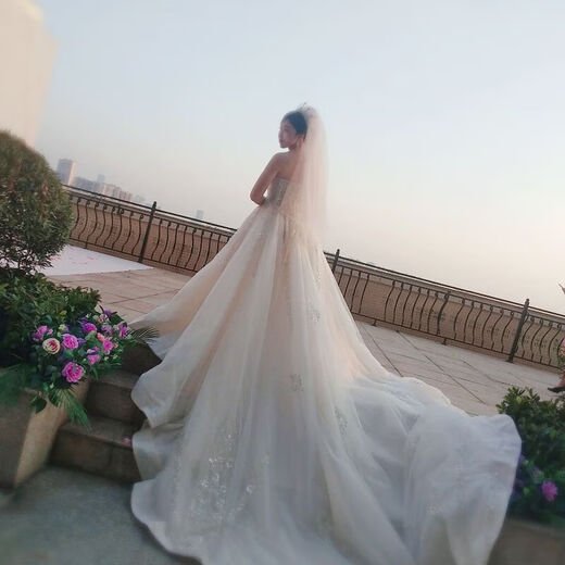 Veil light champagne color super fairy short main wedding dress simple versatile headdress marriage proposal registration small veil milky white 1 package