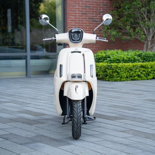 Flying Eagle F150 pedal retro fuel motorcycle, fuel-saving commuting, smart and cost-effective, ivory white standard version 26 models