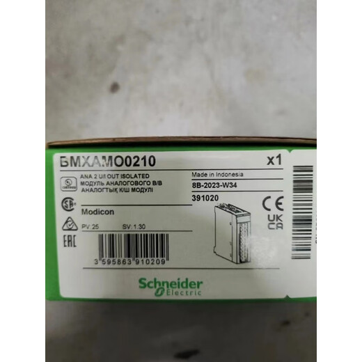 Schneider AO module PLC analog output BMXAMO0210 BMXAMO0410 BMXAMO0802 BMXAMO0802