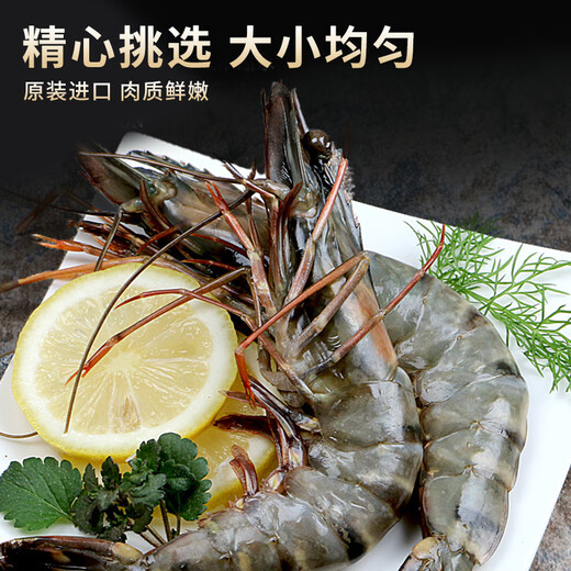 Swiss dolphin, Vietnamese extra large live frozen black tiger shrimp, Penaeus monodon, seafood, net weight 3Jin Jin equals 0.5kg (10-20/KG)