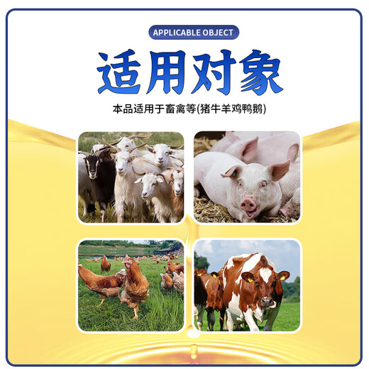 Nanhua Qianmu Veterinary Cod Liver Oil Liquid Chicken, Duck, Goose, Multidimensional Chicken Feed Additive, Livestock and Poultry General Cod Liver Oil, Multidimensional Cod Liver Oil 500ml*10 Bottles