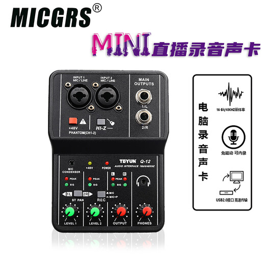 MICGRS mobile computer live broadcast sound card set USB sound card high-definition recording professional post-dubbing radio music arranger delivery audiobook anchor guitar instrument 48V Q12 (computer only)
