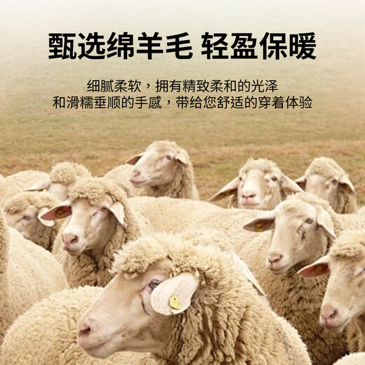 Shanshan (FIRS) brushed warm long-sleeved shirt men's autumn and winter pure cotton skin-friendly soft casual shirt clear water blue 42