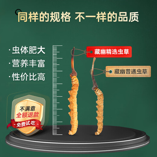 藏幽正宗藏区高海拔冬虫夏草礼盒滋补品头期干虫草送长辈父母营养品 【烫金礼盒】4根/克-10克-40根【送礼推荐】