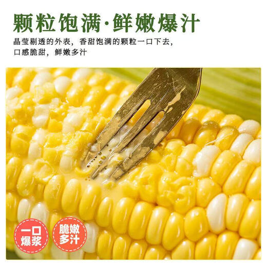High-quality sweet corn, fresh fruit corn, freshly picked tender corn, sweet fruit corn, nutritious breakfast juice, 1.8-2Jin Jin equal to 0.5kg, with box, 2-3 pieces, starting from 300g/root