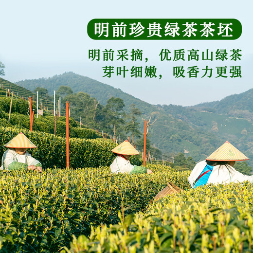 Zhang Yiyuan Tea Jasmine Tea Longhao New Year Tea Mingqian Tea Strong Fragrance Companion Tea Gift Special 100g Can
