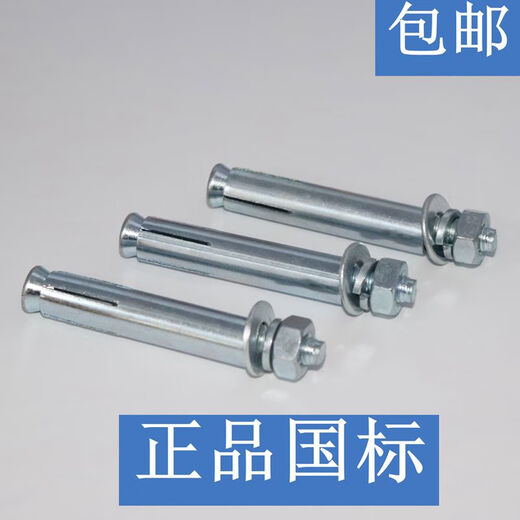 Renjuyi National Standard Expansion Screw Bolt Metal Iron Expansion Screw Bolt Air Conditioning Expansion Screw Bolt National Standard M12200 One Box 120