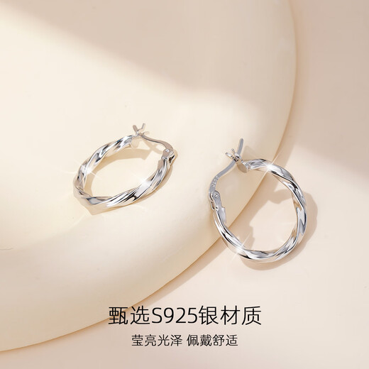Yalundi Silver Earrings Women's Earrings Plain Rings Unique and Beautiful Earrings Women's 2025 New High-Quality Light Luxurious Earrings Earrings Buckle Jewelry