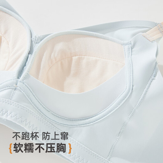 雅黛俪（ALDOLA）内衣女提拉小胸聚拢显大2025春夏新款收副乳防下垂调整型文胸罩 冰蓝 75A