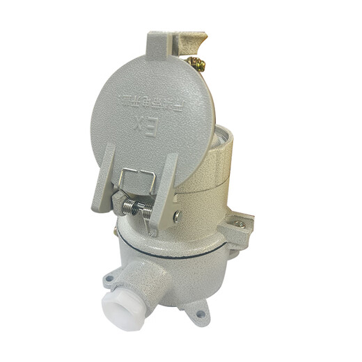 CXFB explosion-proof plug AC-16/220V/explosion-proof plug plug plug plate explosion-proof socket AC-16/220V (three-core straight plug)