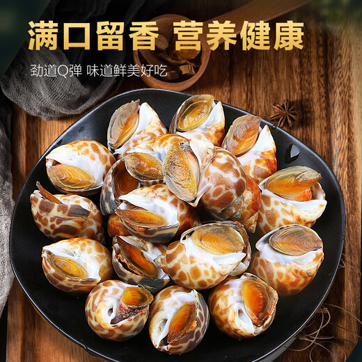 Colorful fresh snails, fresh fresh conches, extra large seafood, aquatic products, fresh fresh frozen frozen dongfeng snails, extra large snails, no sand, extra large 1000g (25-45 pieces/Jin Jin equals 0.5 kg) net