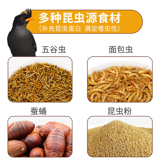 Kaiyuan starling bird food earl full price starling bird food special bird food starling full price bird food beautiful feather improvement and strong fat bird food